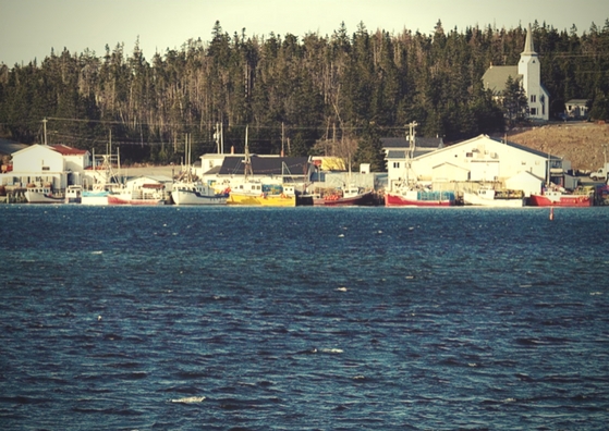 for-more-than-half-a-century-weve-put-our-name-on-it-1